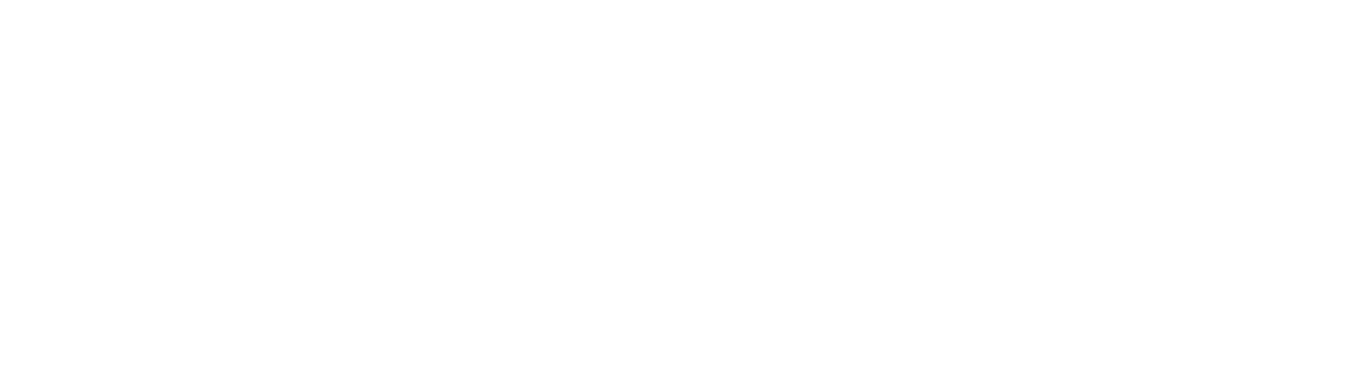 Hyundai Assurance Logo